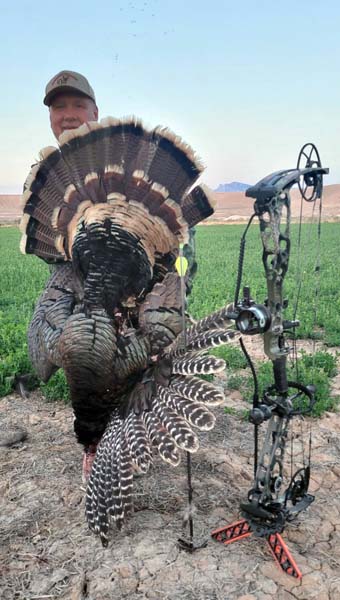 Nevada Turkey Hunting